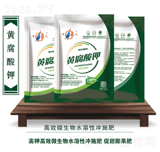 �S�����-��������