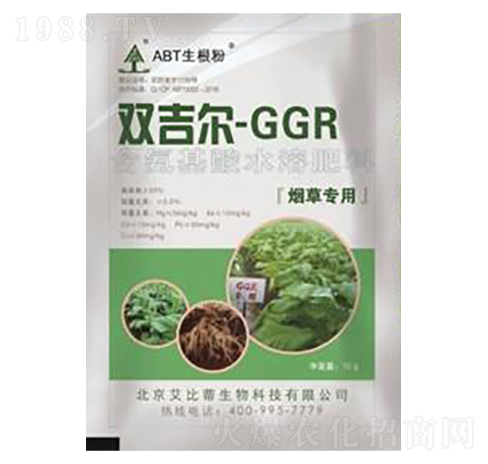 GGR���݌��÷�-���ȵ�