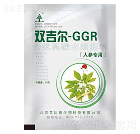 GGR�˅����÷�-���ȵ�