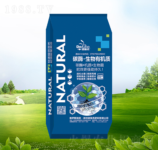 ̼ø�������ЙC�|(zh��)-������