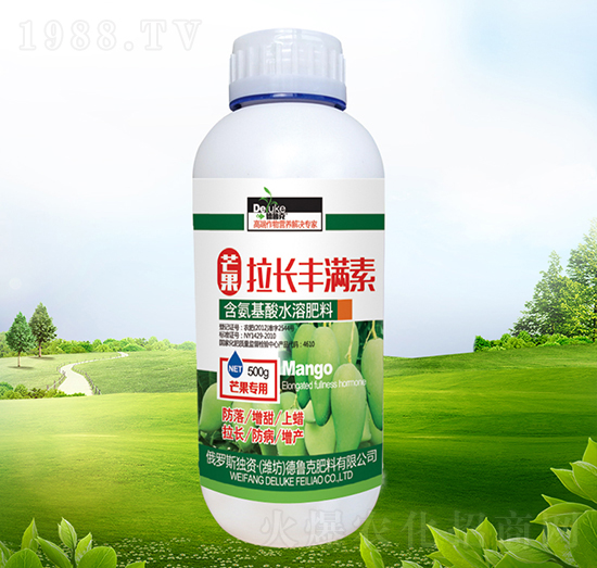 â�����L�S�M��-������