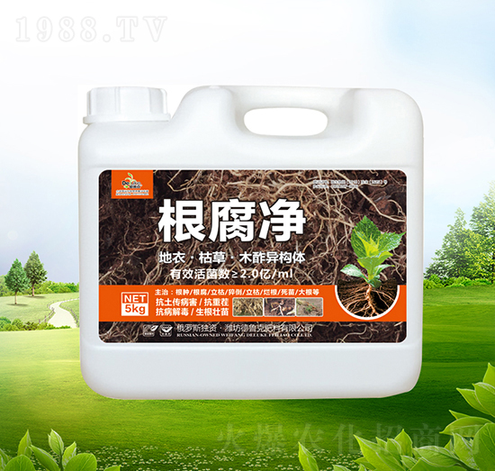 ������-������