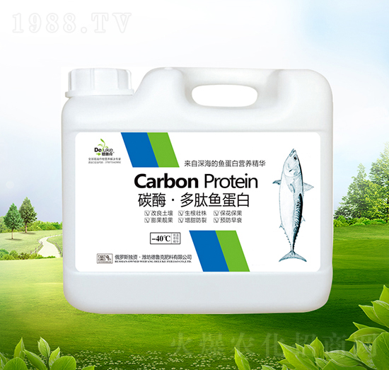 ̼ø�������~����-������