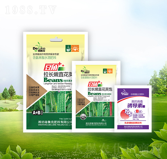 �������L��ֱ���v�+�T����-������