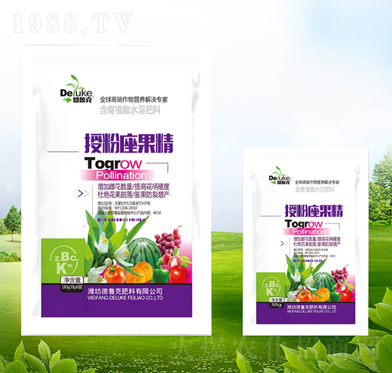 �ڷ�������-������