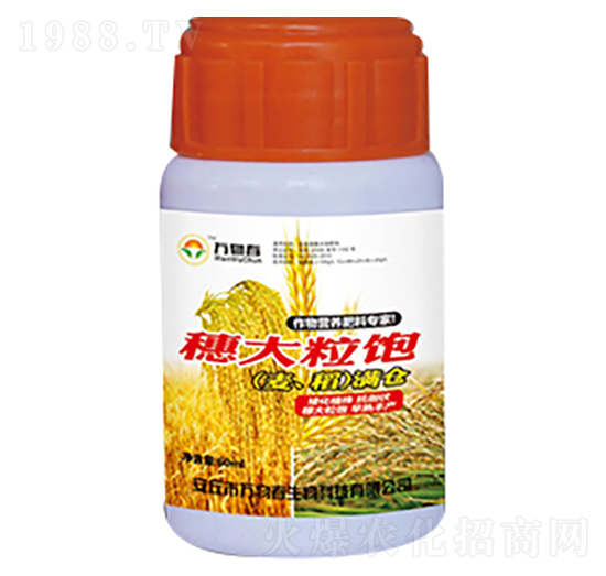 60ml穗大粒飽小麥水稻滿倉-萬物春