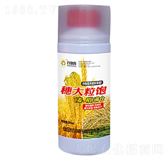 200ml穗大粒飽小麥水稻滿倉(cāng)-萬(wàn)物春