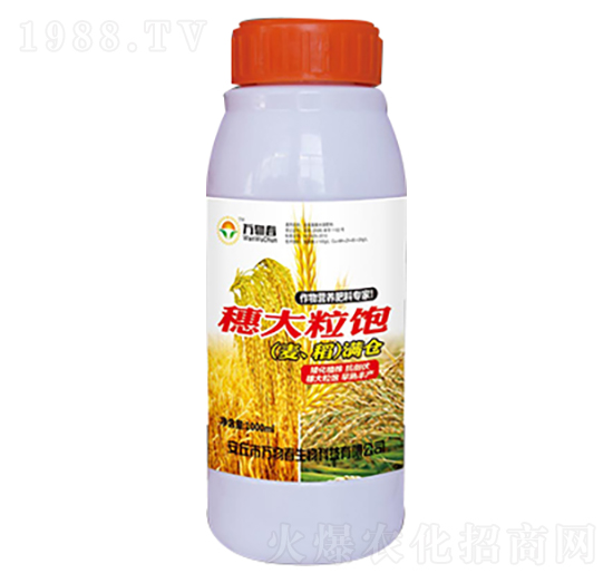 1000ml穗大粒飽小麥水稻滿(mǎn)倉(cāng)-萬(wàn)物春