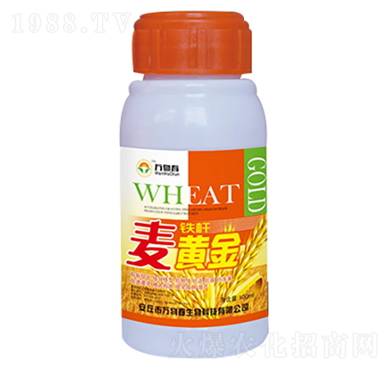 100ml鐵桿麥黃金-萬(wàn)物春
