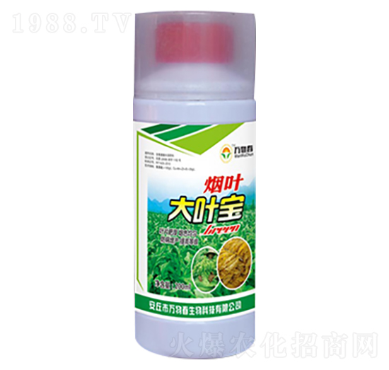 煙葉大葉寶-萬物春