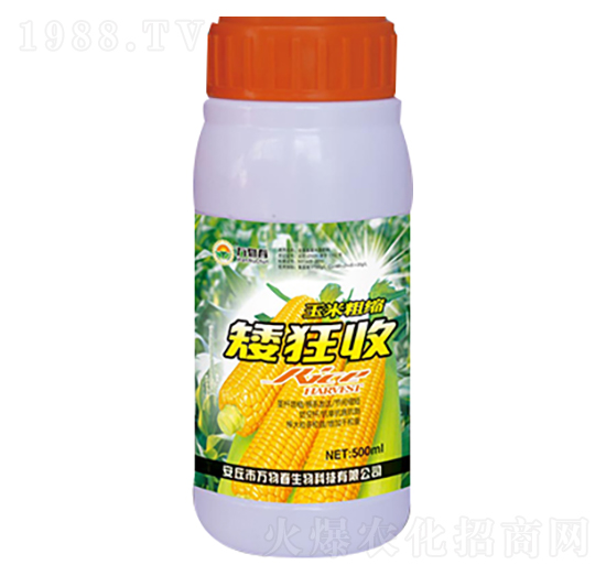 500ml玉米粗縮矮狂收-萬物春