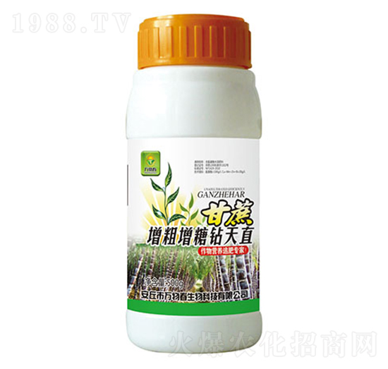 甘蔗增甜增糖鉆天直-萬(wàn)物春