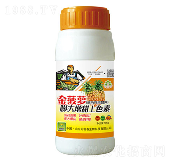 金菠蘿膨大增甜上色-萬(wàn)物春
