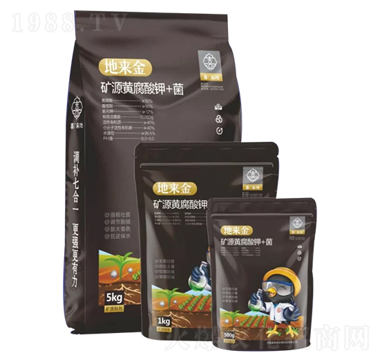 �VԴ�S�����+��-�؁���-ϲ����