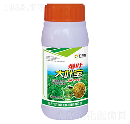 500ml���~���~��-�f(w��n)�ﴺ