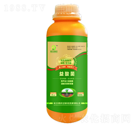 �������Ƅ�-�����-�W�r(n��ng)����