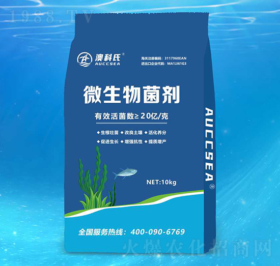 10kg΢�������-�Ŀ���