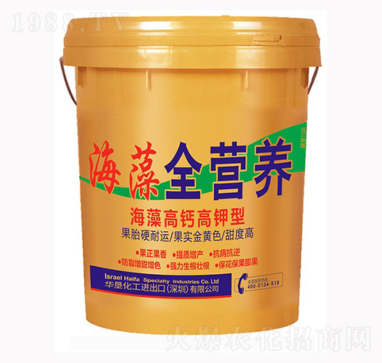 ������}����� ȫ�I�B(y��ng)Ͱ��