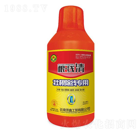 �Ѹ���������-������-�t��