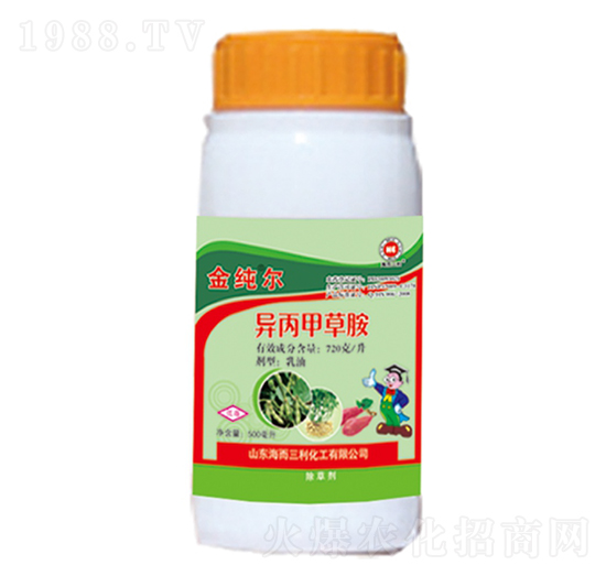 �����ײݰ�-�𼃠�-��������