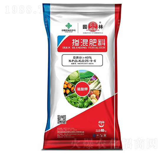 �������25-9-6-�@��-������