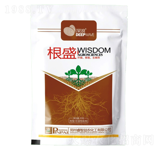 20g��ʢ-����-������r