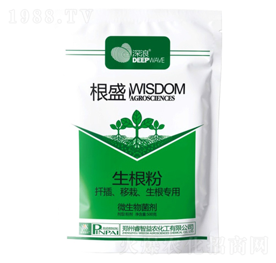 ��ʢ-����-������r