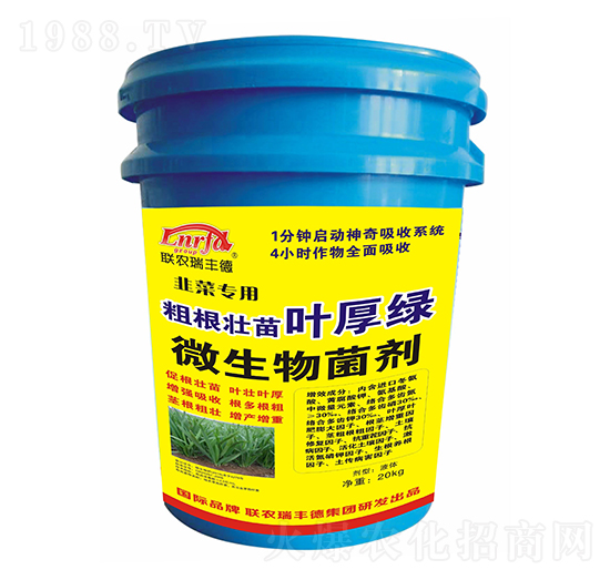 韭菜專(zhuān)用粗根壯苗葉厚綠-聯(lián)農(nóng)瑞豐德