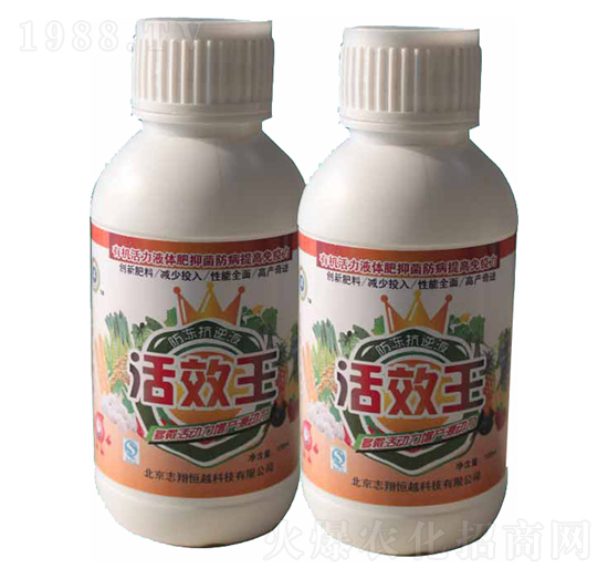 ��Ч��-־���Խ