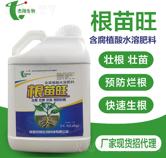 ����ֲ��ˮ�ܷ���-������-��������