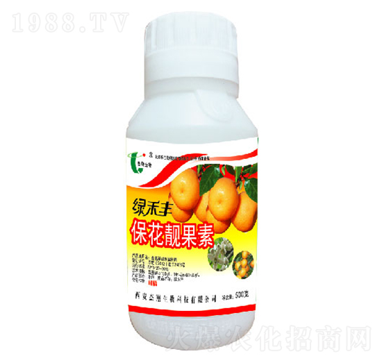 �����n����-�G���S-��������