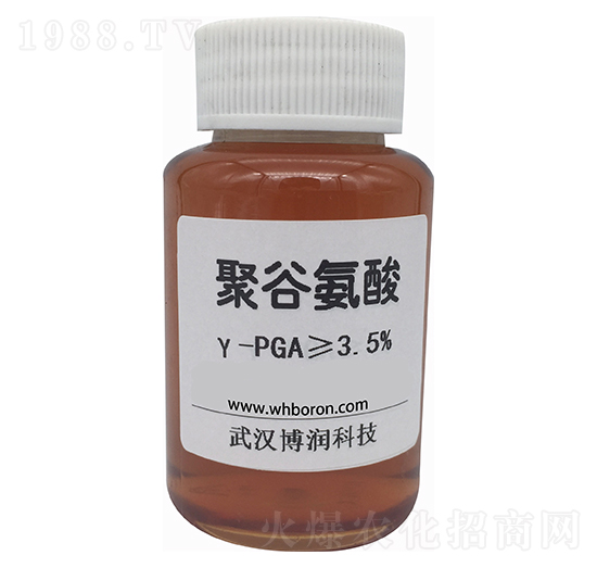 聚谷氨酸γ-PGA-博潤(rùn)科技