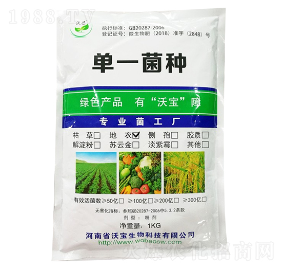 ����ѿ�ߗU��-�֌�����