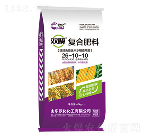 40kg�p�ۏ�(f��)�Ϸ���26-10-10-�W��