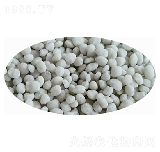 ���@����ɫ���{(l��n)ɫ��-���S�Ƽ�