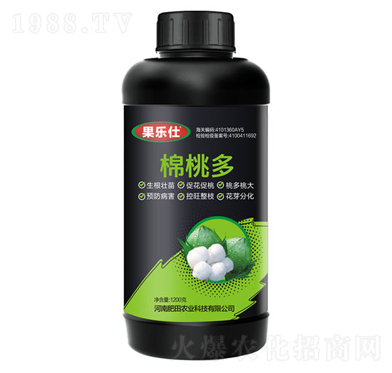 ���Ҷ�-����(l��)��-�����r(n��ng)�I(y��)