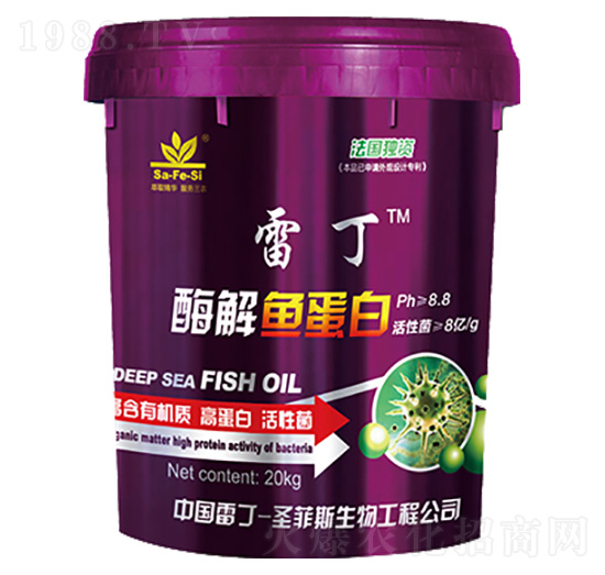 ø���~(y��)����-�׶�-ʥ��˹