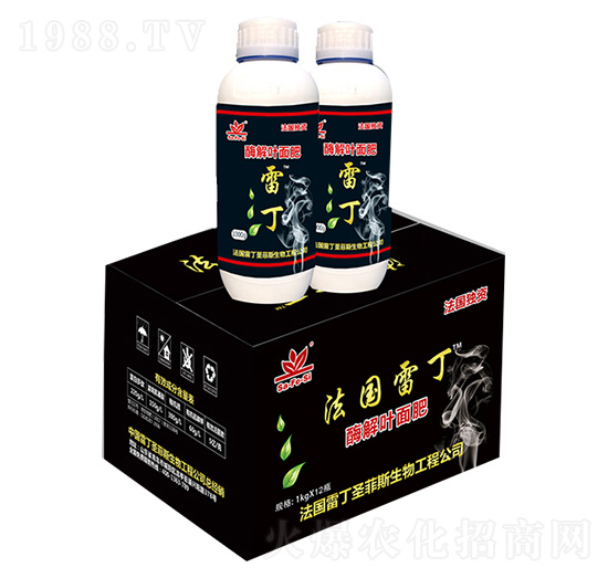 ø���~�����-�׶�-ʥ��˹