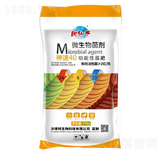 ����40�����Ծ���24-6-10-�ֲ���