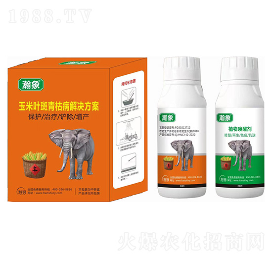 玉米葉斑青枯病解決方案-瀚象-瀚獅