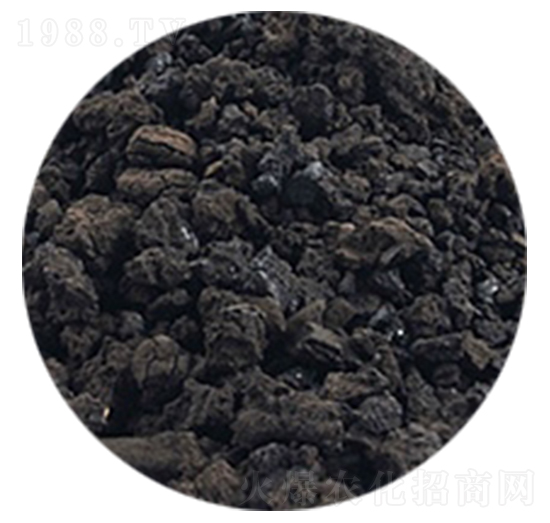 �S������w��-�𺣵|