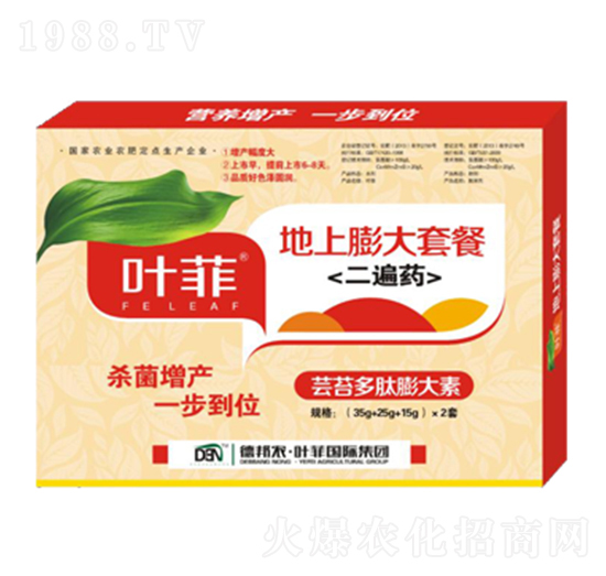 ��������ײ�-�°��~��