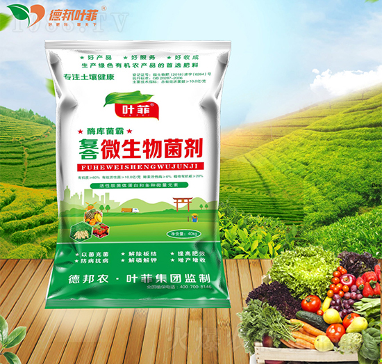 復合微生物菌劑-酶庫菌霸-德邦葉菲