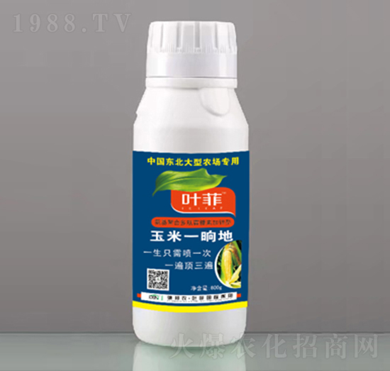 玉米一晌地-德邦葉菲