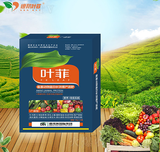 廣譜型氨基動(dòng)物蛋白長(zhǎng)效增產(chǎn)液肥-德邦葉菲