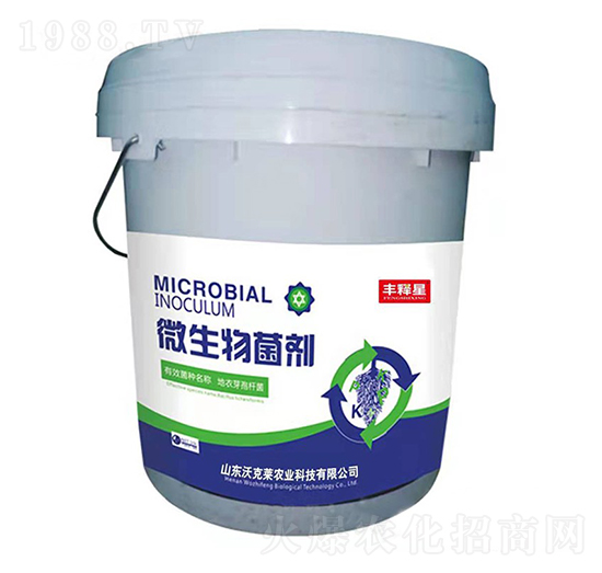 ΢�������-�S���-�ֿ��R