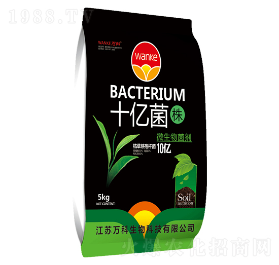 ʮ�|���꣨10�|����-�f��