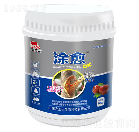 800g�����o(h��)�팣��-Ϳ��-�r(n��ng)ʥ��