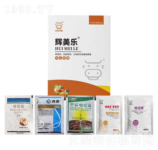 ���������o�����������ݲ�����ή���ײ�-�x����-���A����