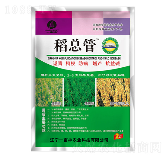 ������-һ����